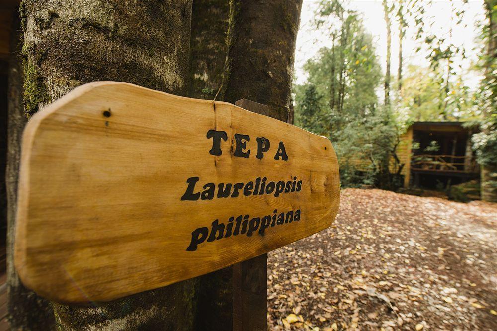 Huilo Huilo Nawelpi Lodge Puerto Fuy Buitenkant foto