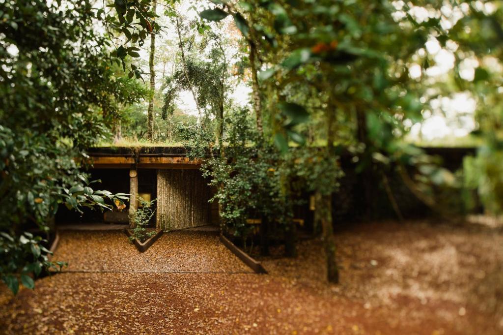 Huilo Huilo Nawelpi Lodge Puerto Fuy Buitenkant foto